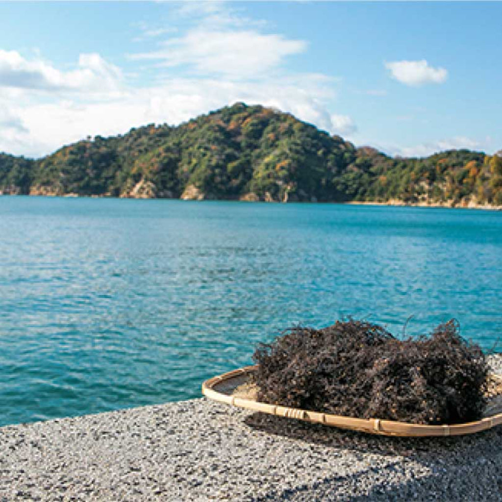 【AMABITO NO MOSHIO】Seaweed salt - 海人の藻塩 - 100g